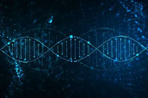 Campaign Gene